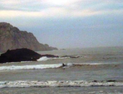 cambado (cut back)...