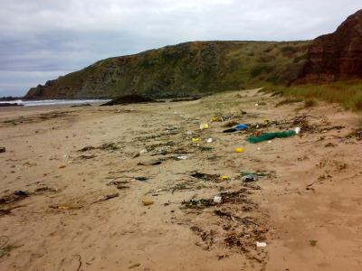 y la playa que después del mareton...