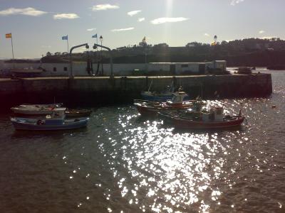 vistas al puerto...